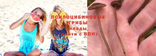 2c-b Белокуриха