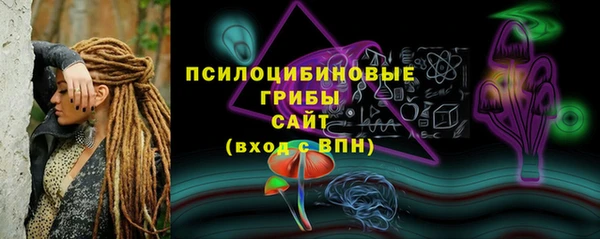 2c-b Белокуриха