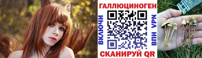 Галлюциногенные грибы GOLDEN TEACHER  закладки  kraken зеркало  Новопавловск 